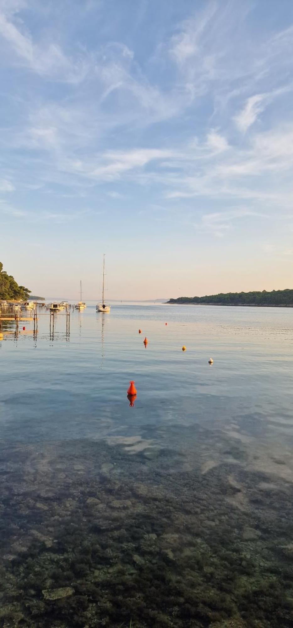 Apartmani Devcic Palit Buitenkant foto